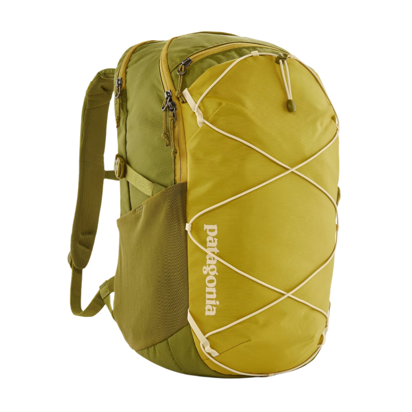 Patagonia Refugio Day Pack 30L