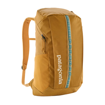 Patagonia Black Hole Pack 25L