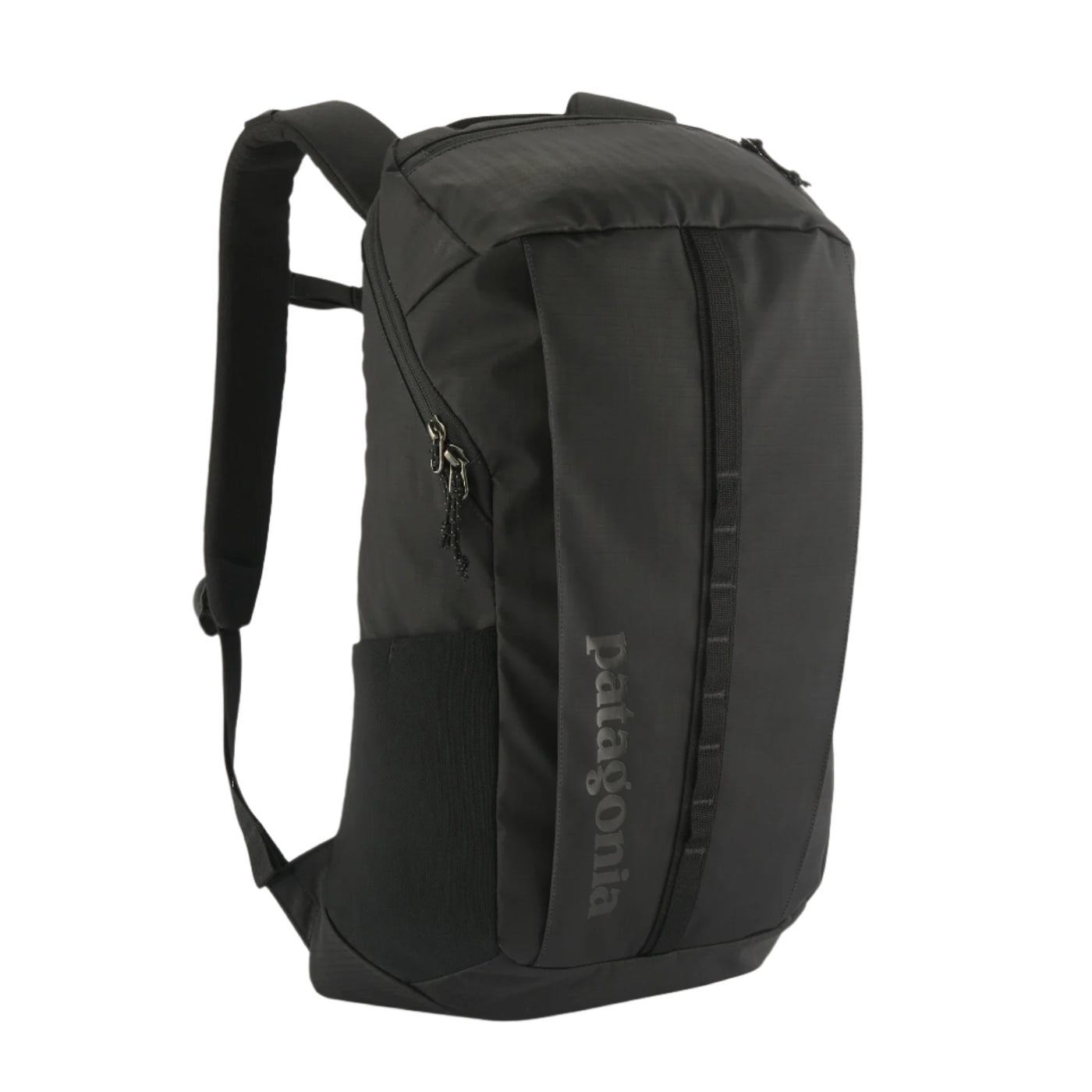 Patagonia Black Hole Pack 25L