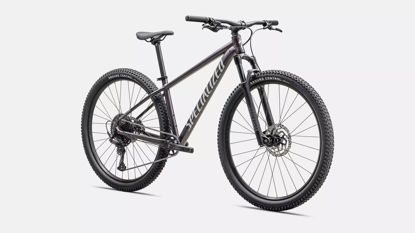 Specialized Rockhopper Comp 29 - Large Frame