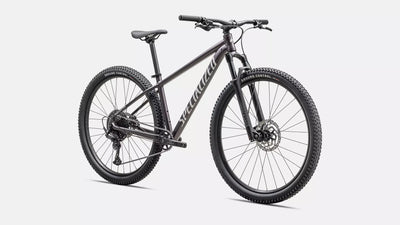 Specialized Rockhopper Comp 29 - Large Frame