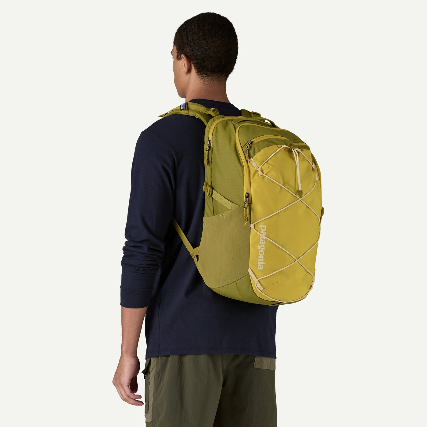 Patagonia Refugio Day Pack 30L
