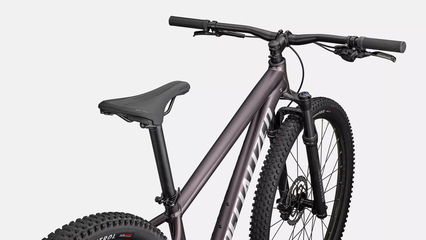 Specialized Rockhopper Comp 29 - Large Frame