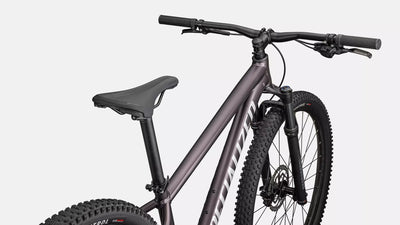 Specialized Rockhopper Comp 29 - Large Frame