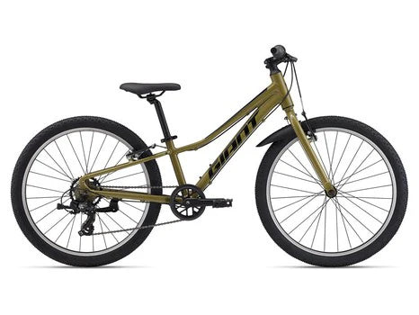 GIant Tempt 24 Lite Youth Mountain Bicycle